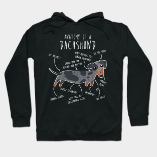 Blue Dapple Dachshund Dog Anatomy Hoodie